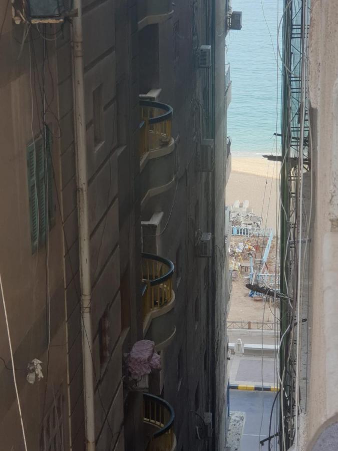 تري البحر جانبي كود 9/231 * Alexandria